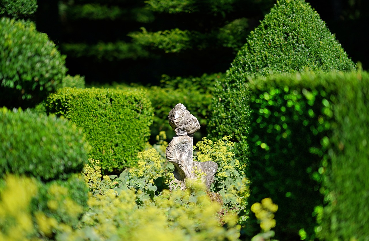 How to Create Stunning Topiary Shapes